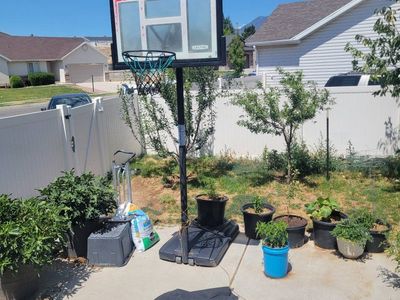 Lifetime Portable Basketball Hoop System with Adjustable Pole and Base