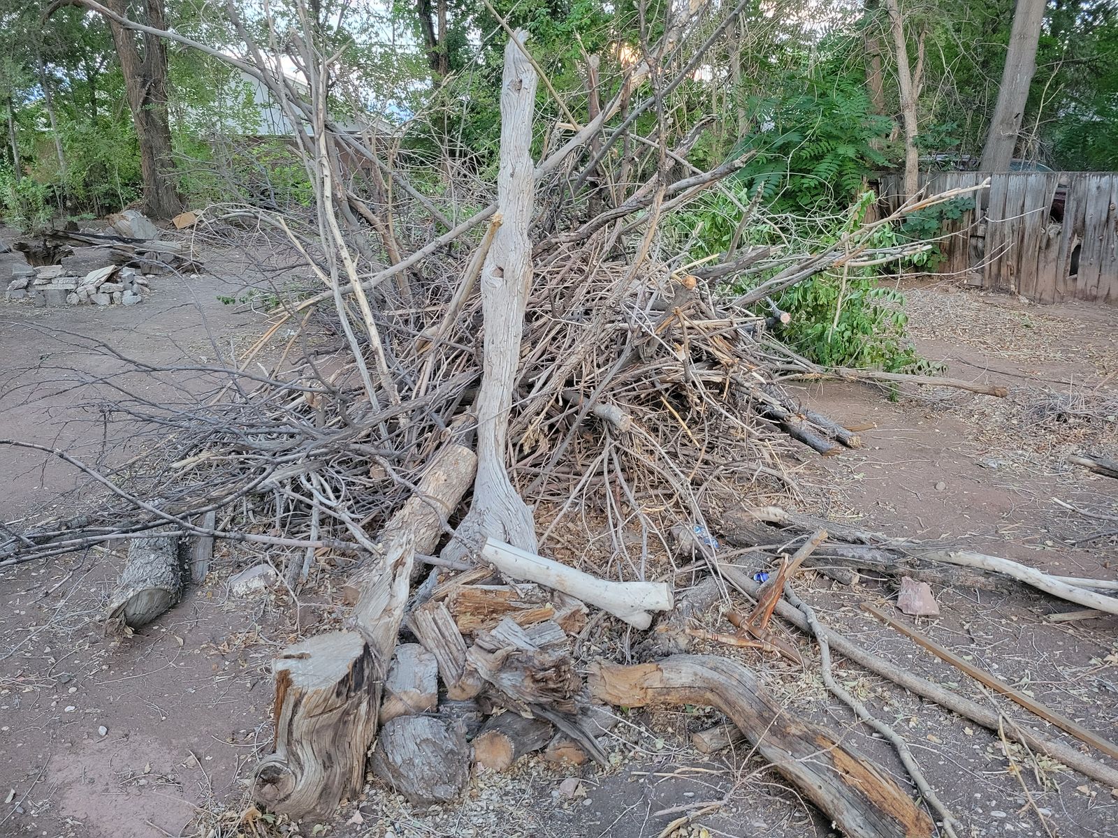 Free Firewood