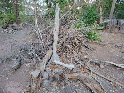 Free Firewood