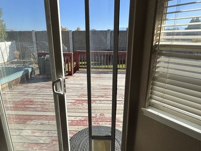 Doggie Door