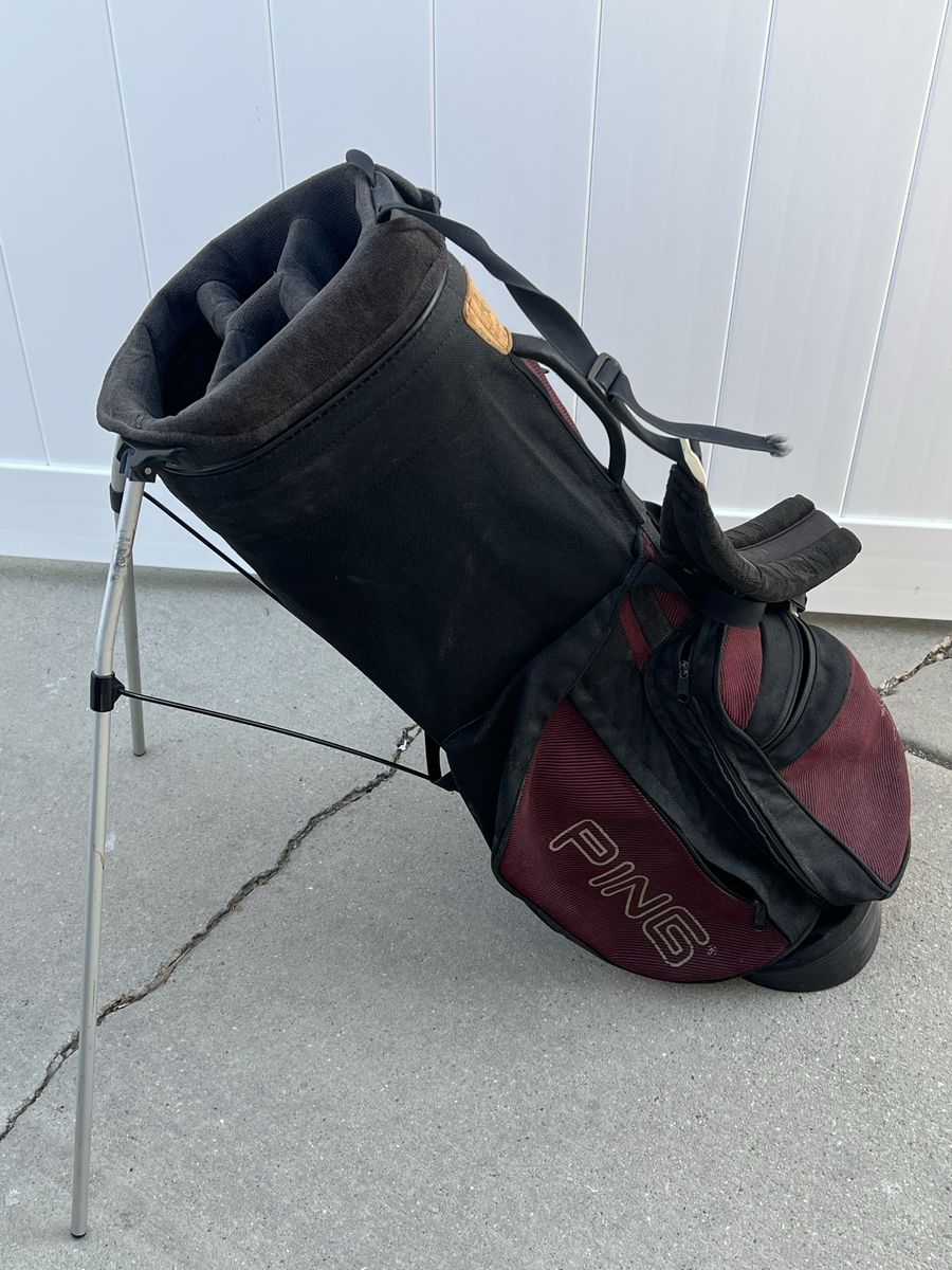 Ping carry bag