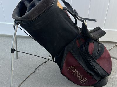 Ping carry bag
