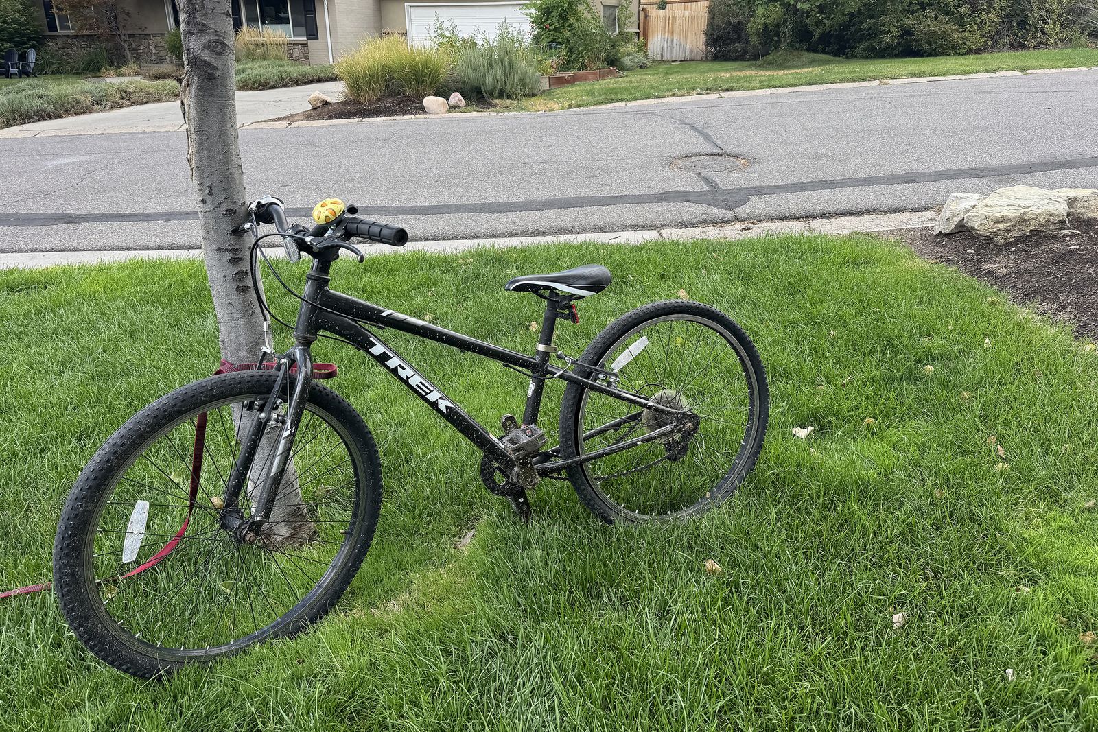 Kids Trek 24 inch bike