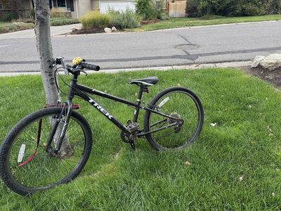 Kids Trek 24 inch bike