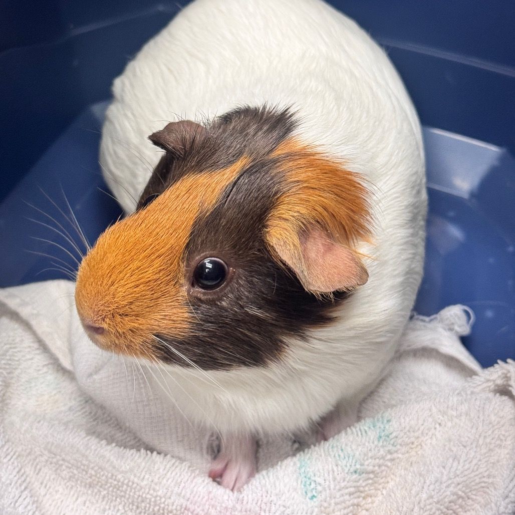 Hello my name is Chloe