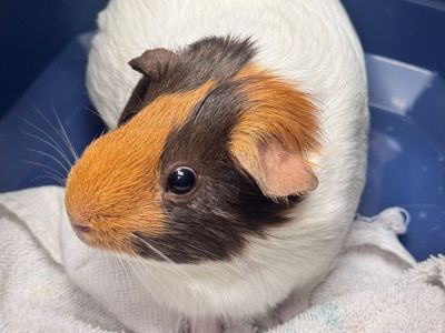 Hello my name is Chloe