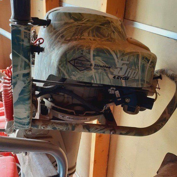Briggs & Stratton motor
