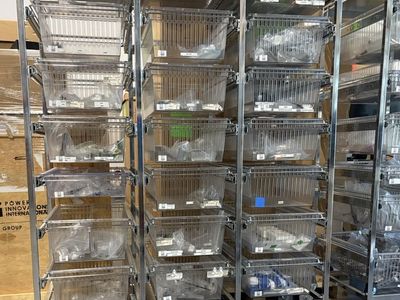 Heavy Duty Rolling Storage Rack with Slide-Out Clear Drawers (2 avail.)