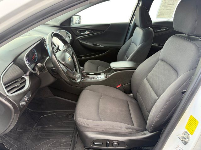 Main image 10