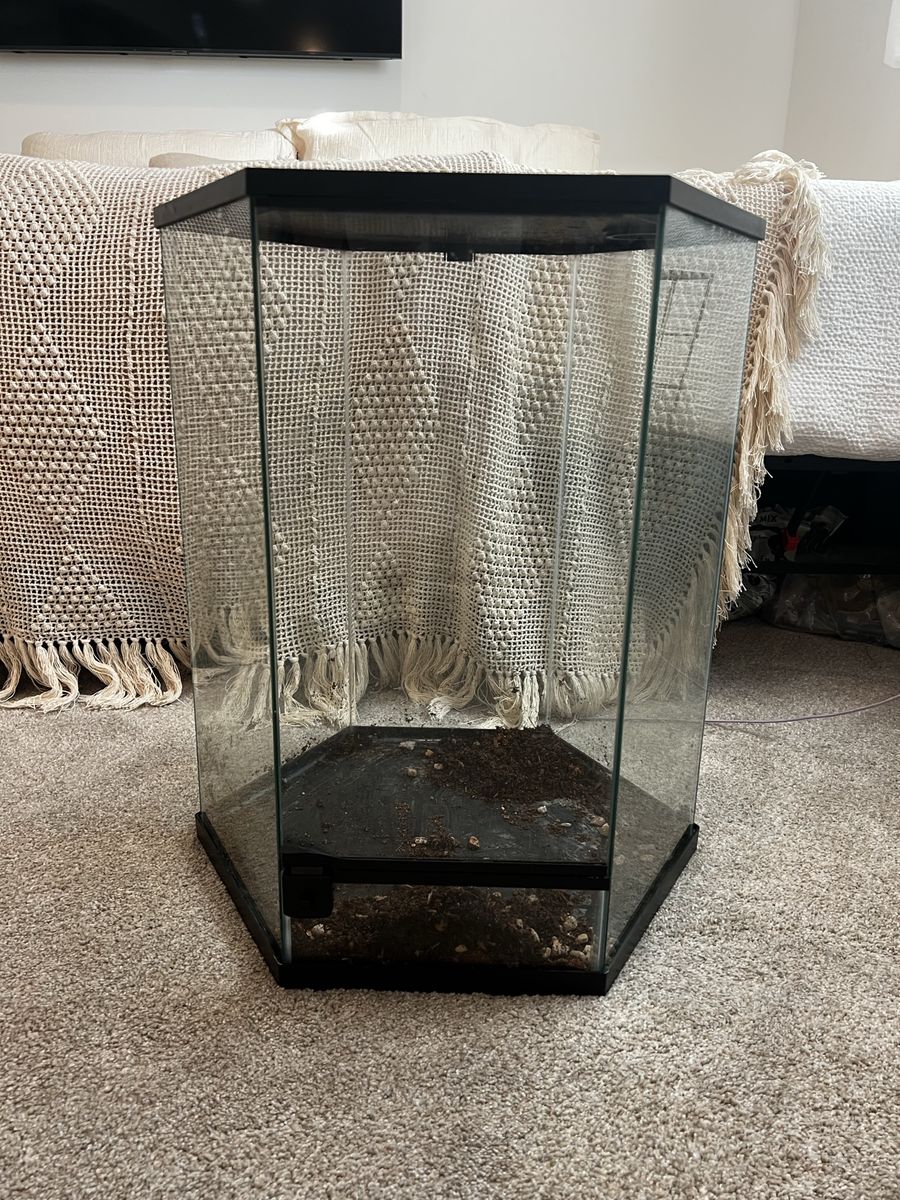 Hexagonal Glass Terrarium Tank for Reptiles/Amphibians - Good Condition