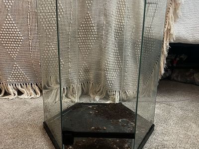 Hexagonal Glass Terrarium Tank for Reptiles/Amphibians - Good Condition