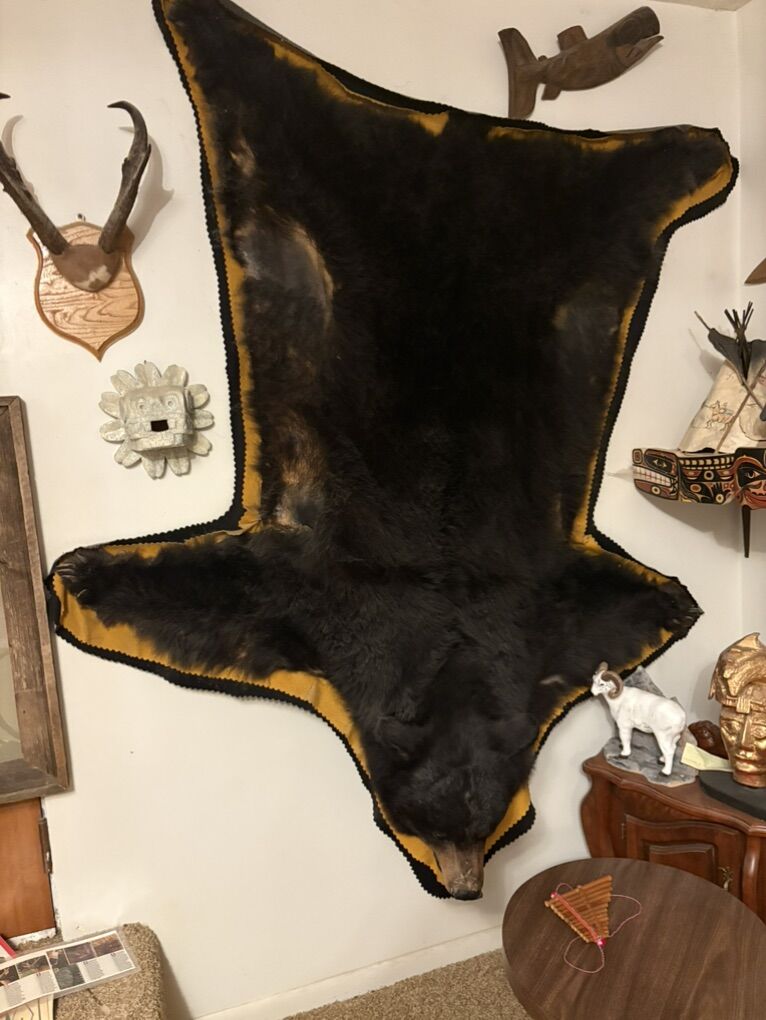 Large Black Bear Rug