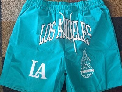 Brand new mens swim trunks