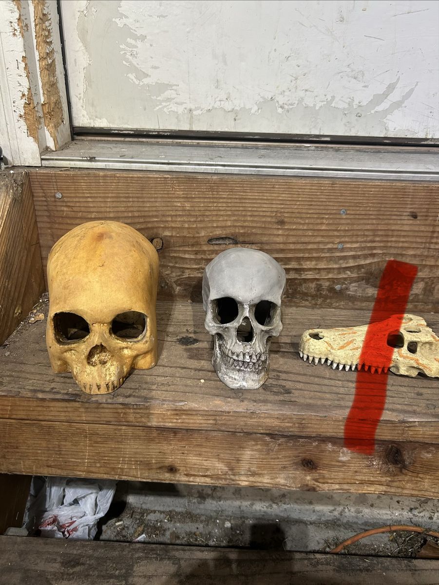 Reptile decor