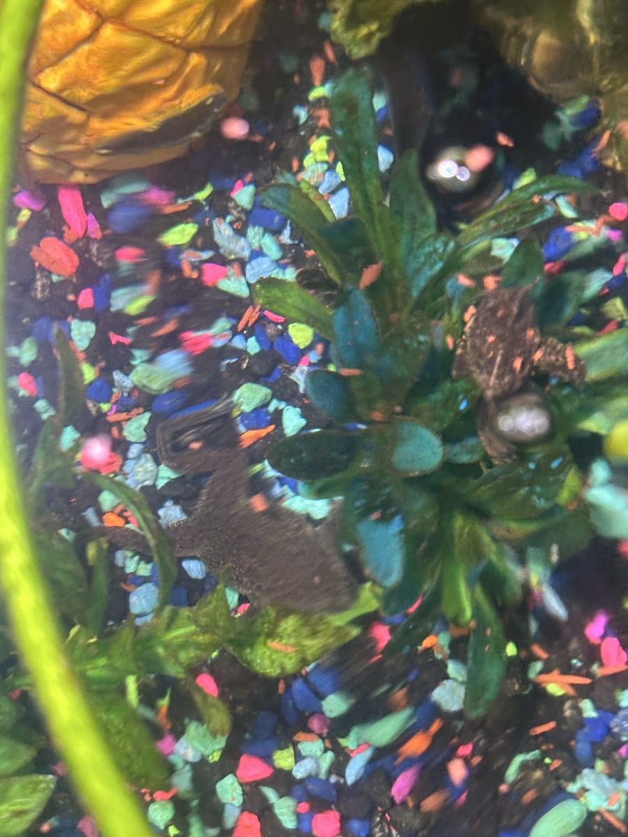 Main image 6