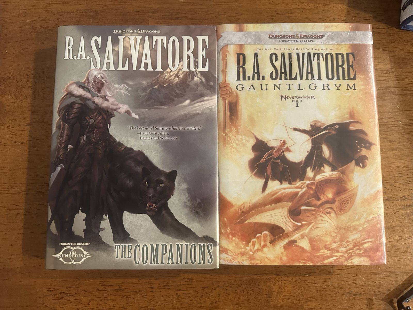 R.A. Salvatore Dungeons & Dragons Forgotten Realms: The Companions & Gauntlgrym Hardcover Book