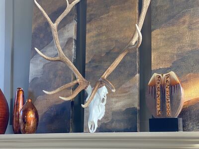 Taxidermy European Mounts Utah