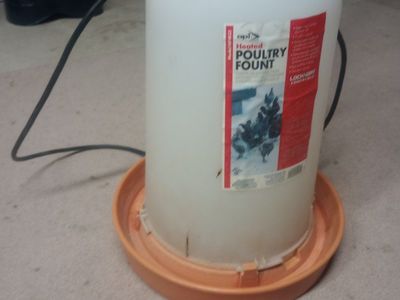 chicken waters