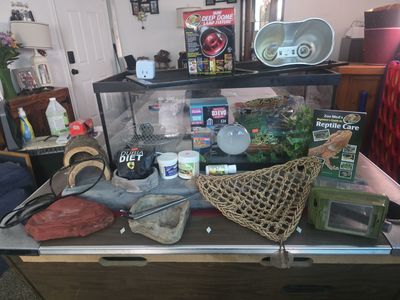 Complete Reptile Tank Starter Bundle w/ Lights, Décor, Supplies + Extras