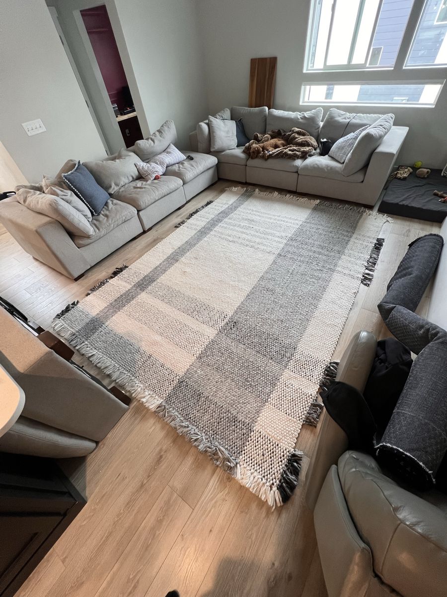 Living Room Rug