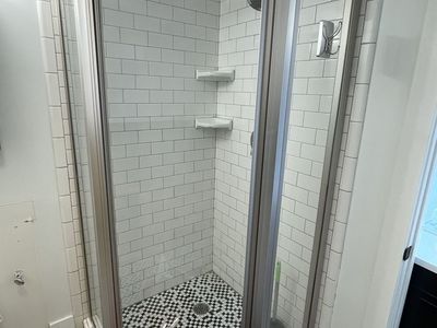 3pc Shower Door Neo Angle