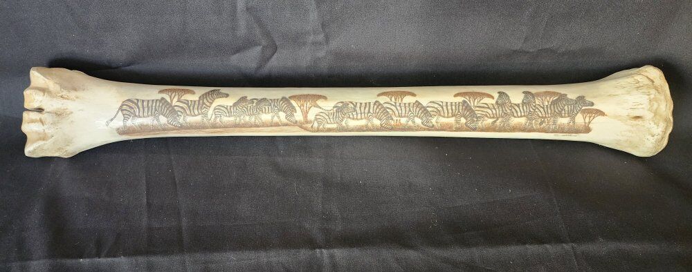 schrimshaw giraffe leg bones