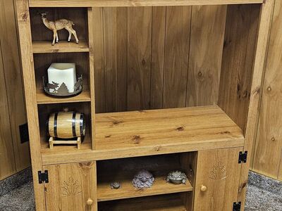 Entertainment Center - Display Cabinet