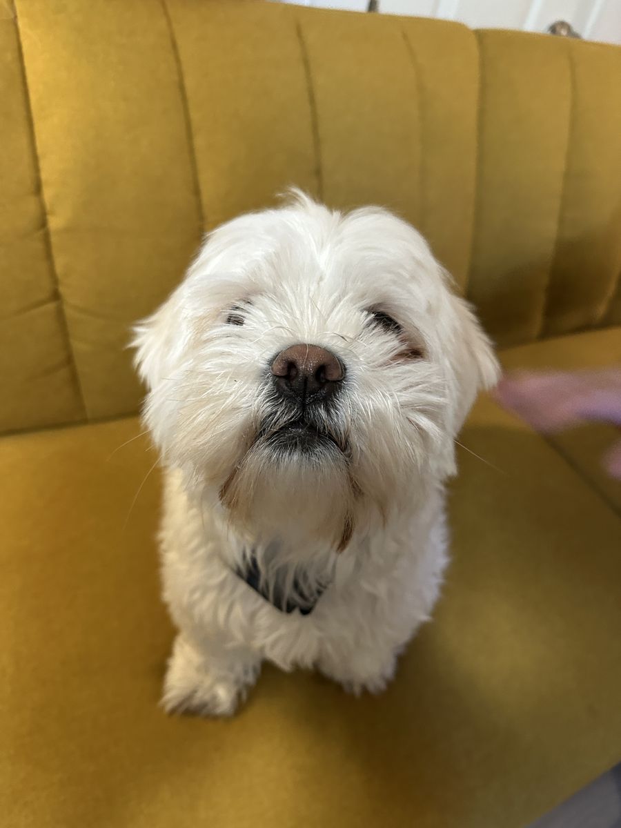 Meet Jimothy