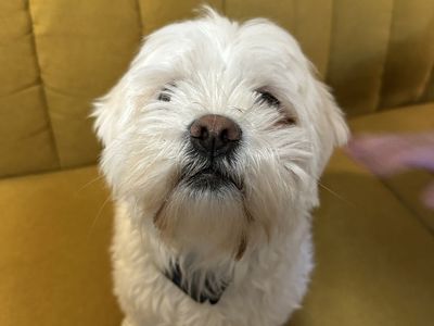 Meet Jimothy