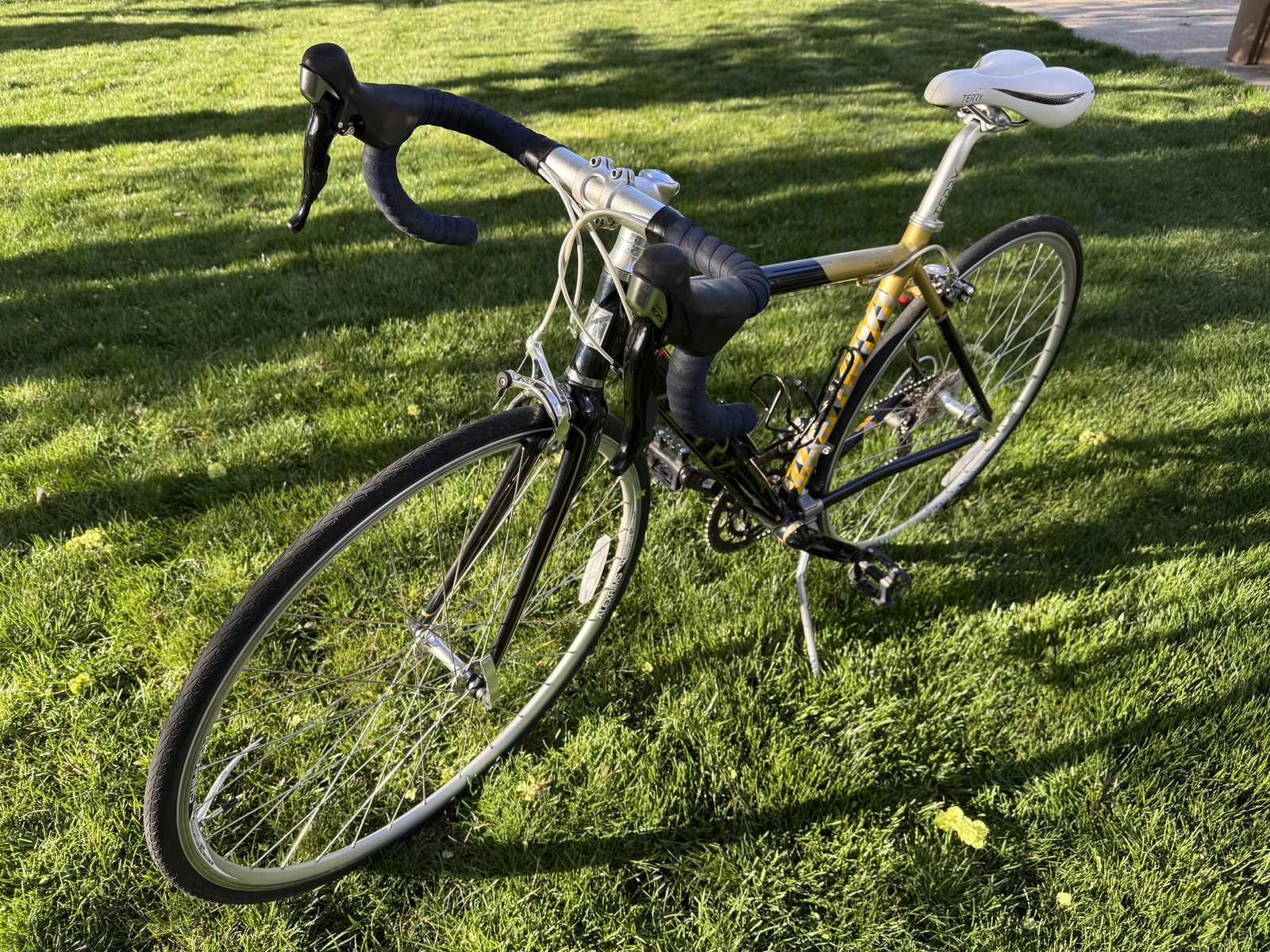 Terry Road Bike – Lightweight, Ready to Ride- Small Frame (Perfect for 5’0”–5’5”)