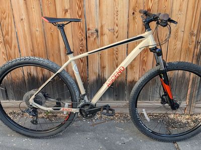 Ascend Hardtail MTB (Large)