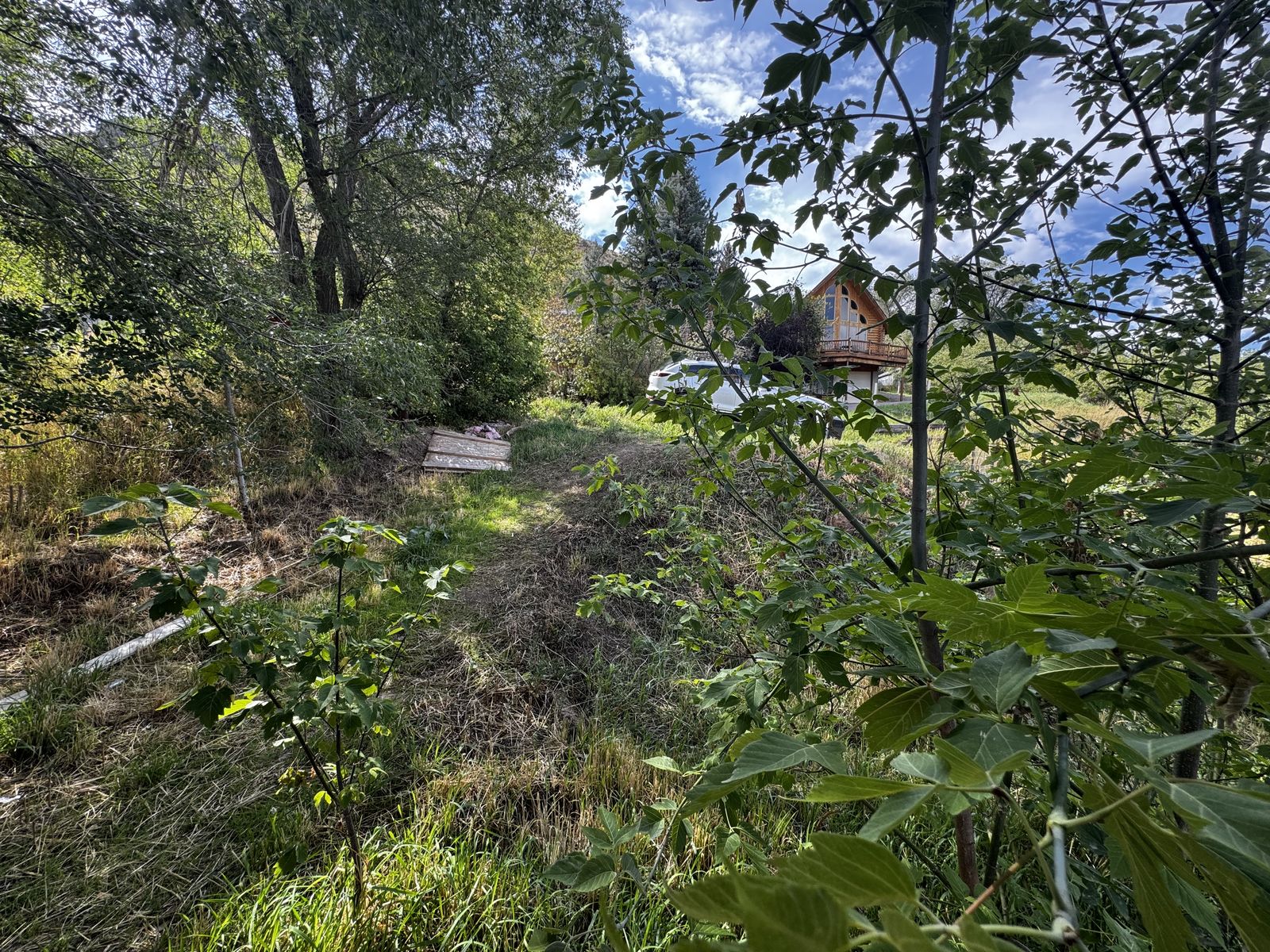 Main image 4