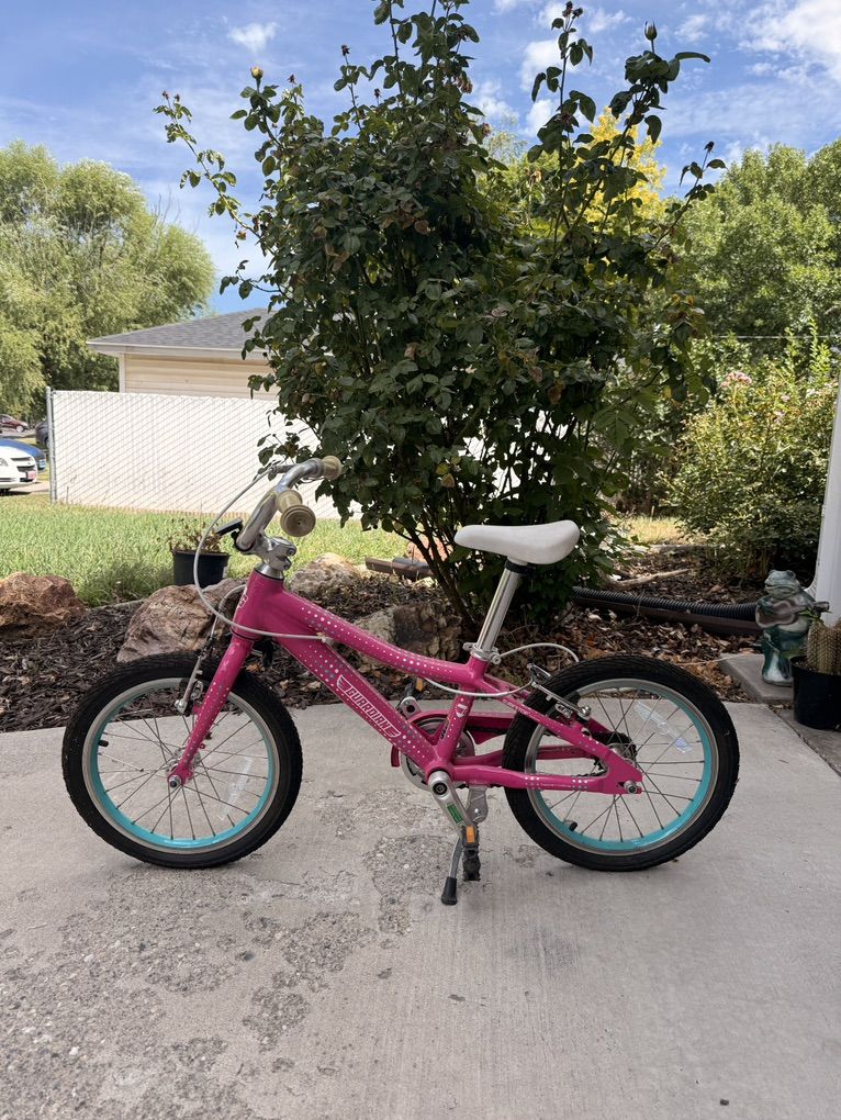 Safe Guardian Bike For Sale