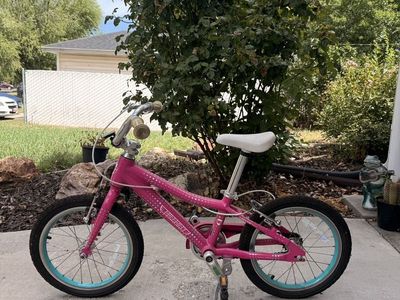 Safe Guardian Bike For Sale