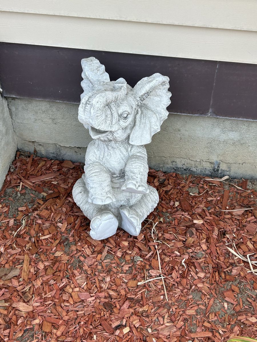 Main image 2
