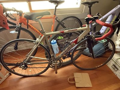 2001 DeVinci Millenium Road Bike