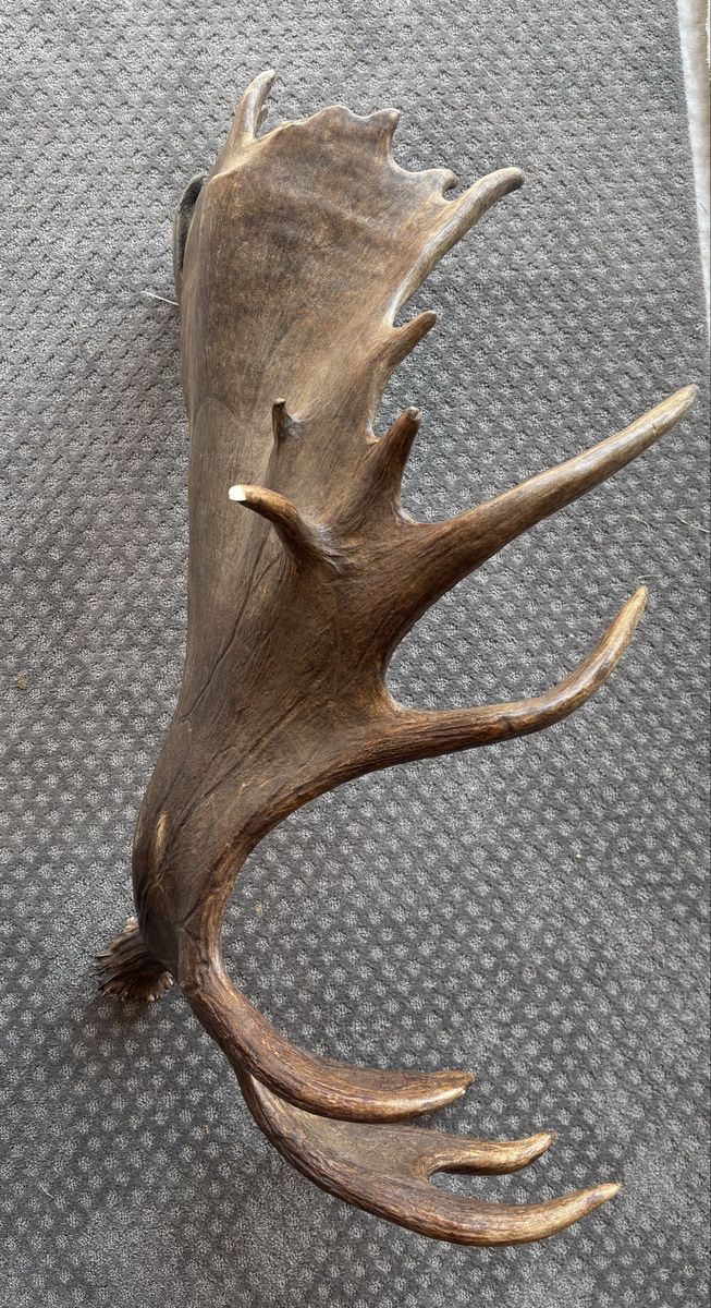 Main image 3