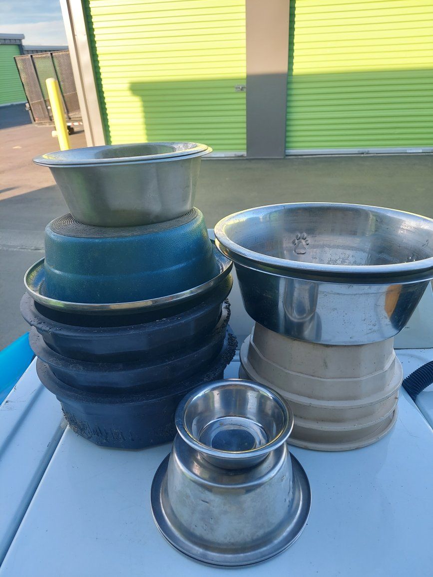 dog food and water bowls