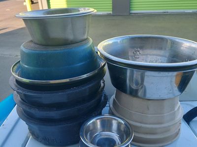 dog food and water bowls