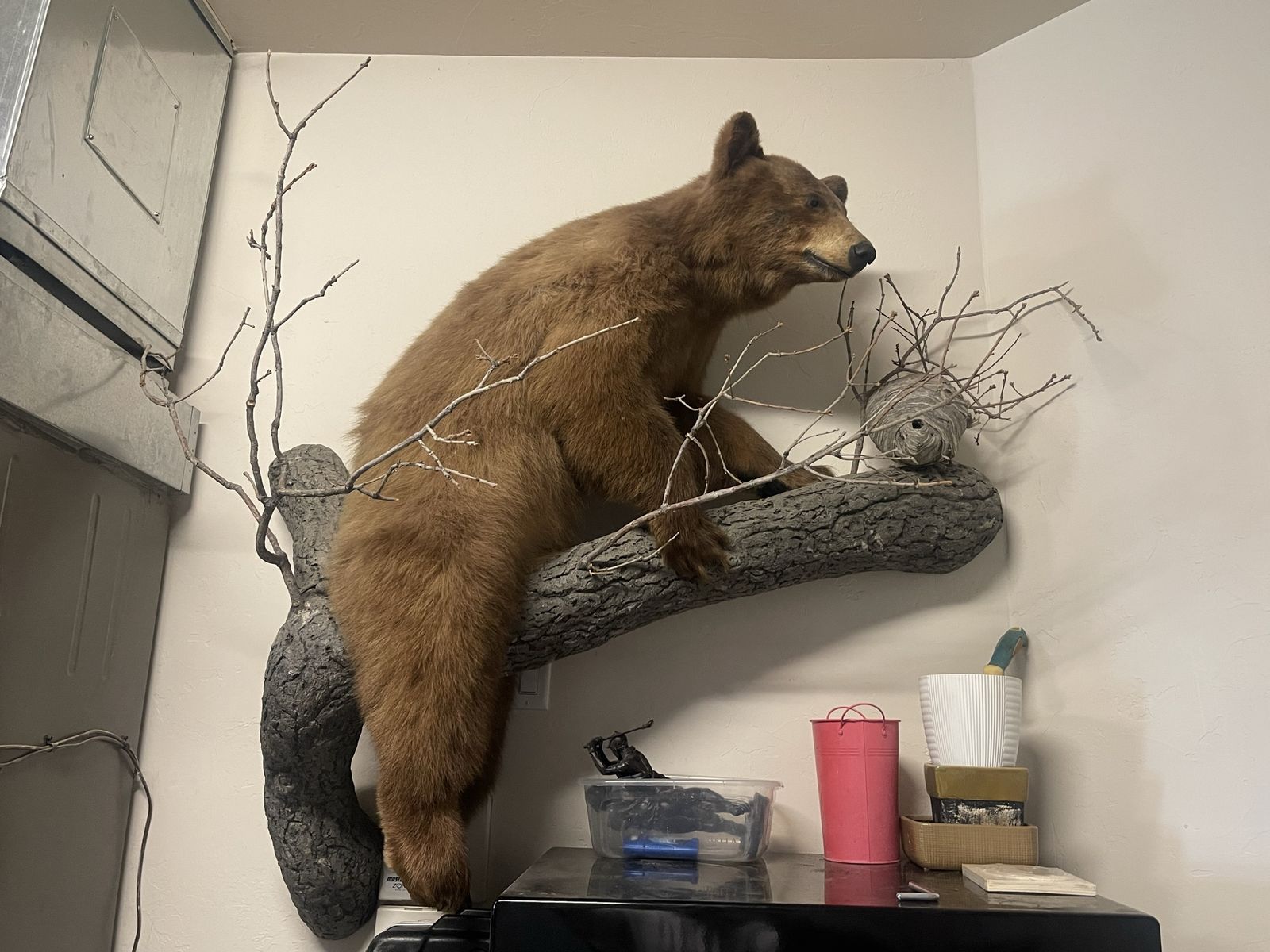 Bear mount 