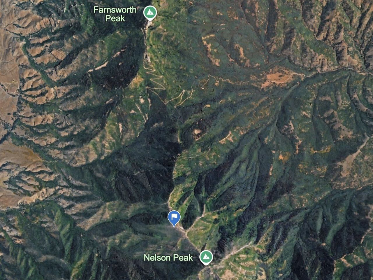 Main image 1