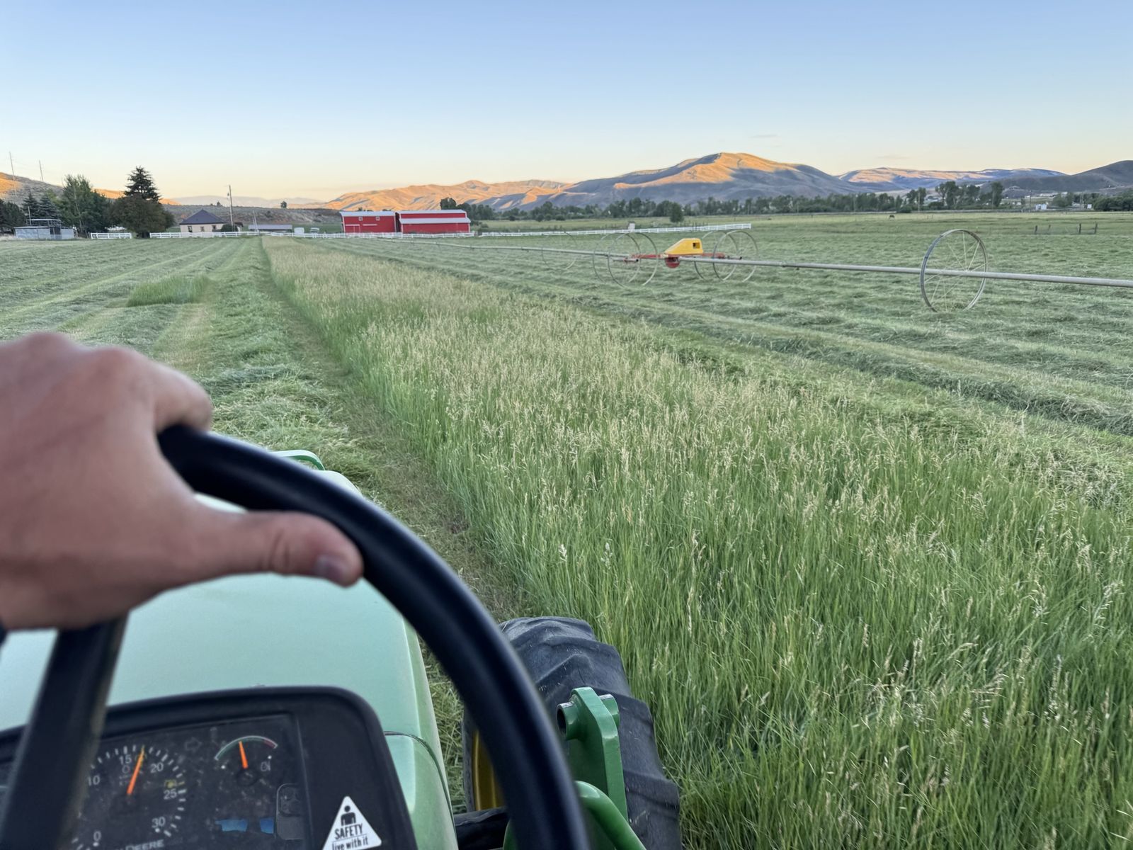 Premium grass hay small bales $13/bale