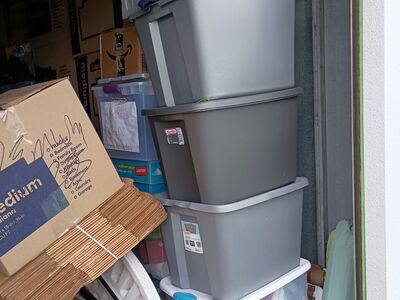 Free Scavenger Hunt June 6th. The Scavenger Hunt is Free and the Items in the Scavenger Hunt are also all free!