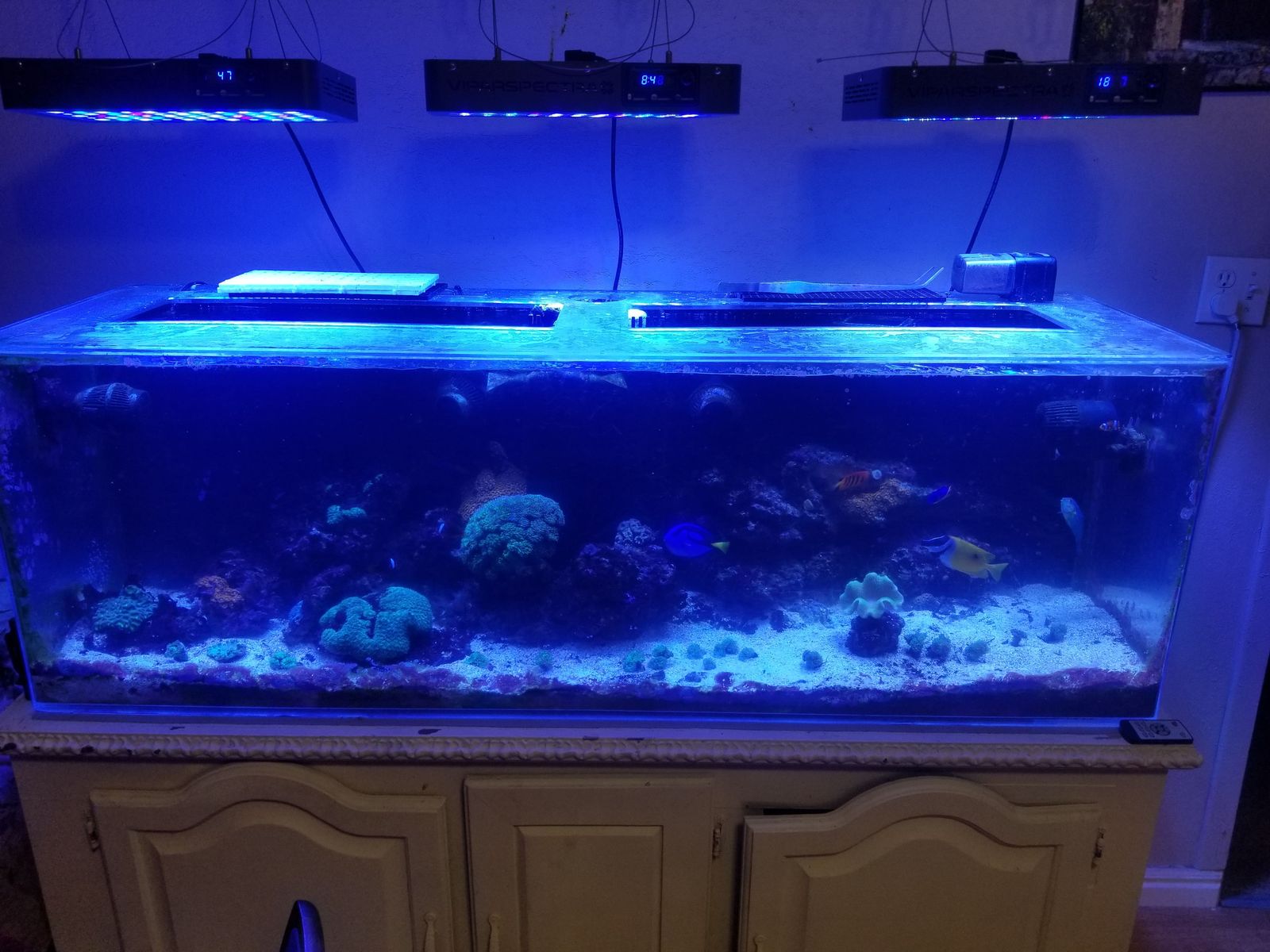 Acrylic Saltwater Reef Aquarium