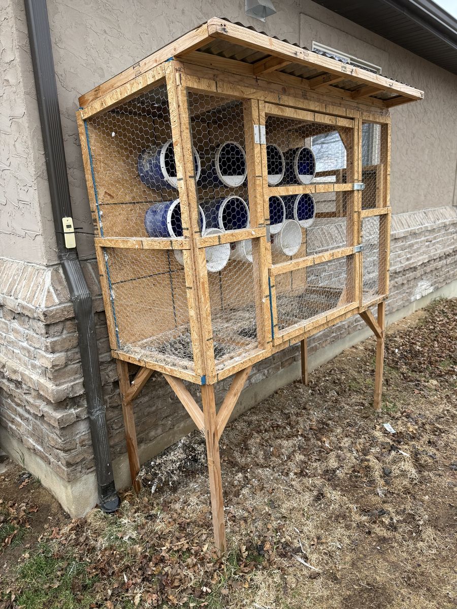 Pigeon Coop - Up to 12 birds