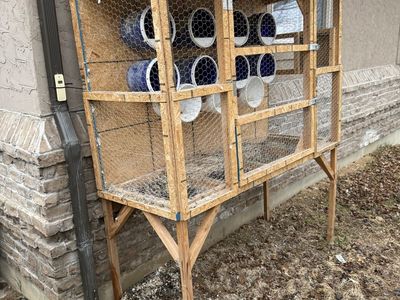 Pigeon Coop - Up to 12 birds