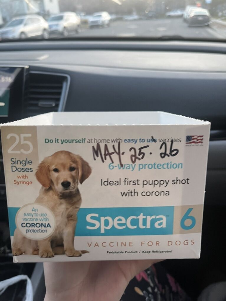 Puppy Vaccines