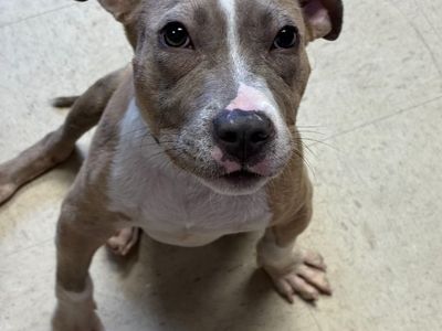 Hello my name is Tucker