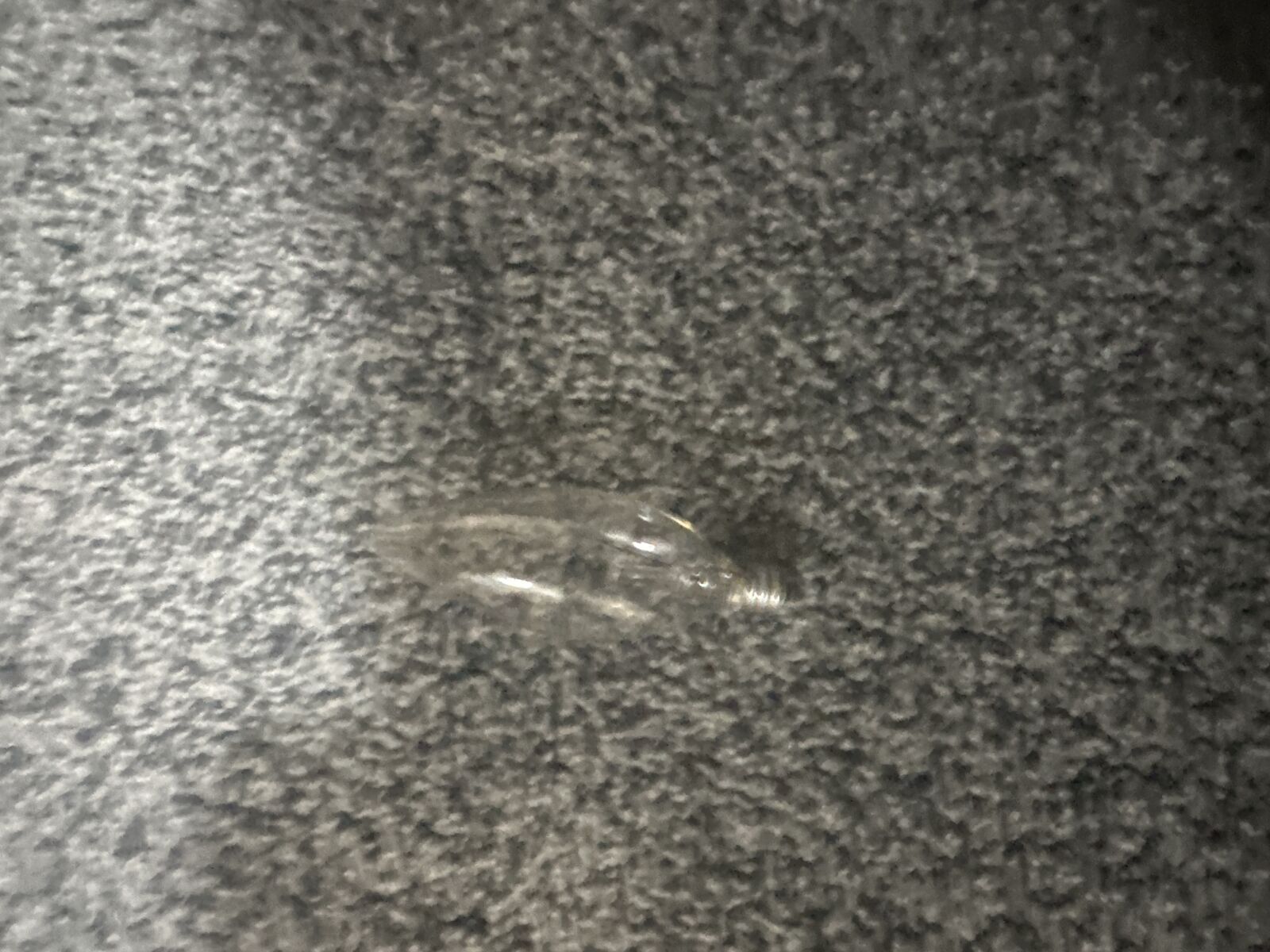 The one Straight tip 25 watt decorative light.