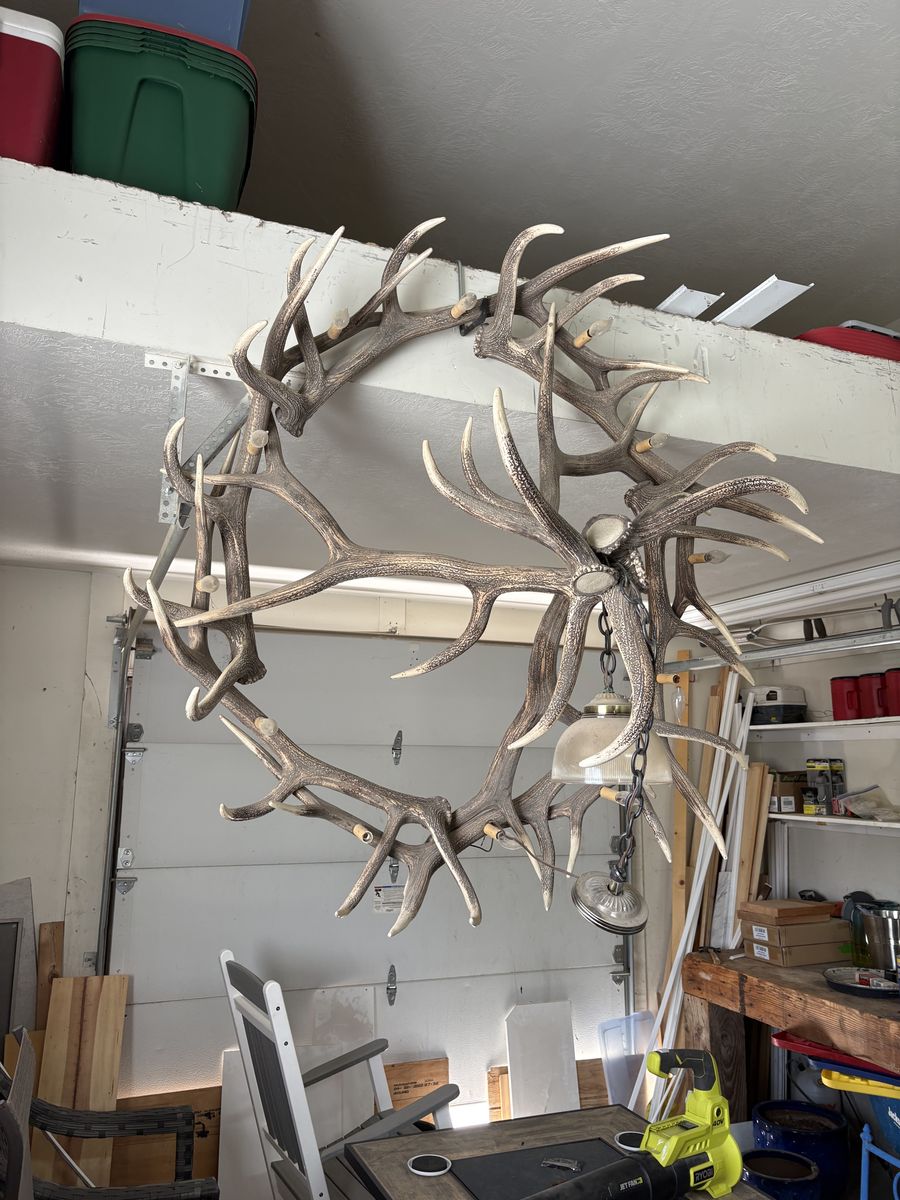 ElK Antler Chandelier